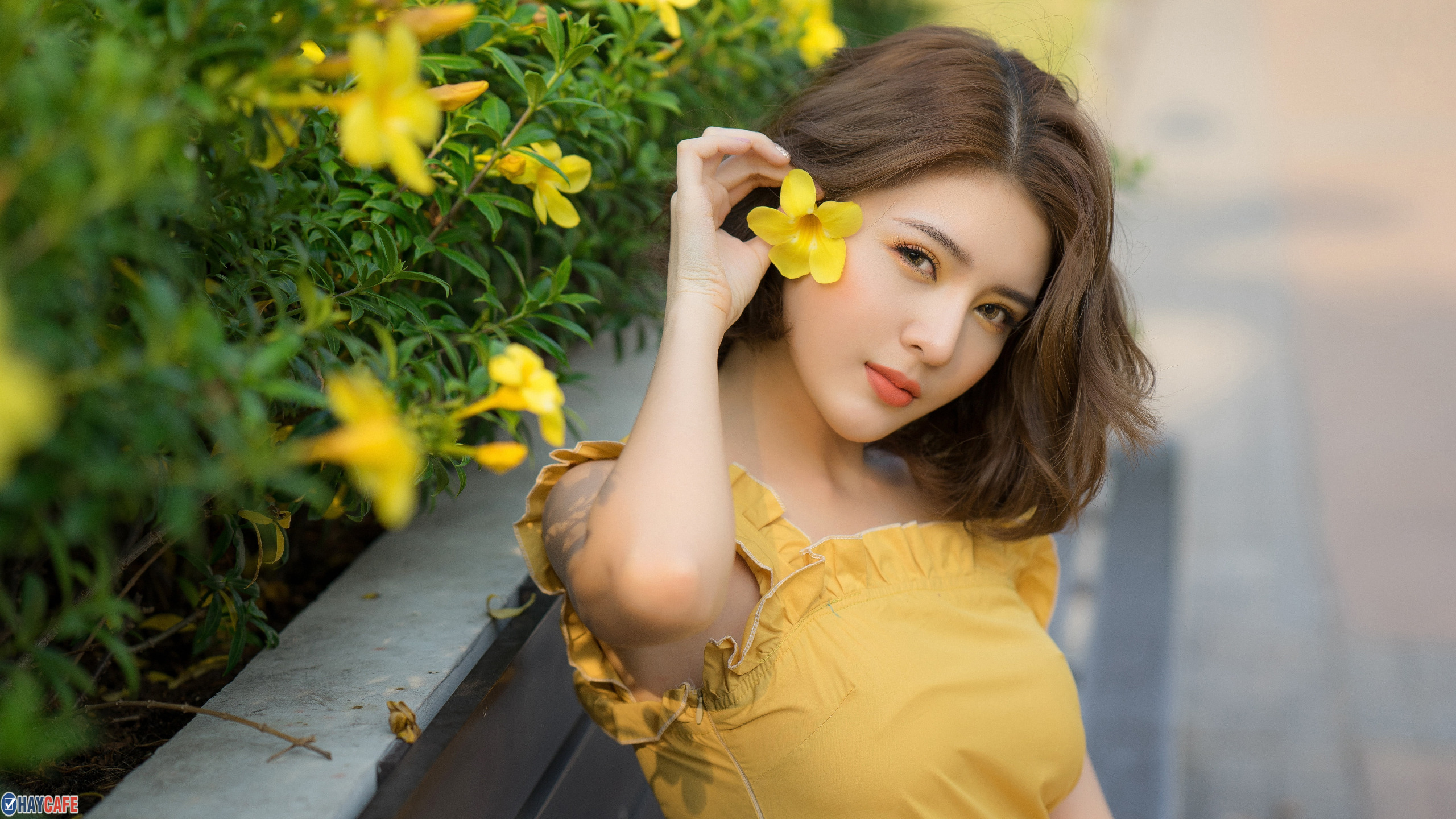 ảnh girl xinh 4K 0034