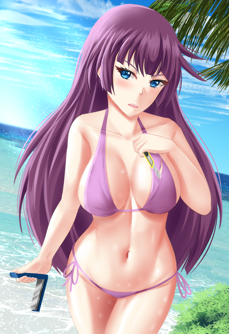 Senjougahara Bikini