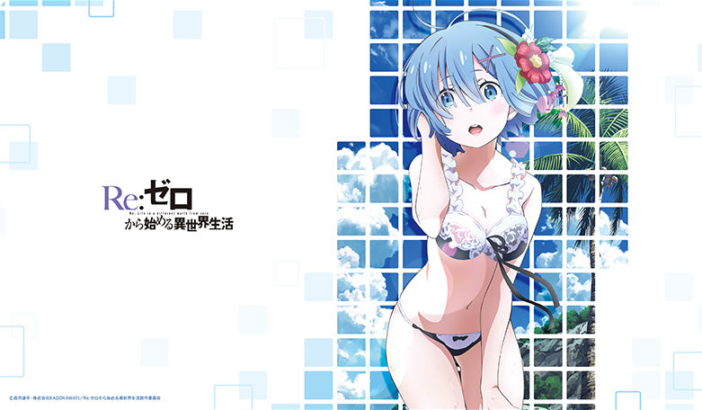 Rem Bikini 0023