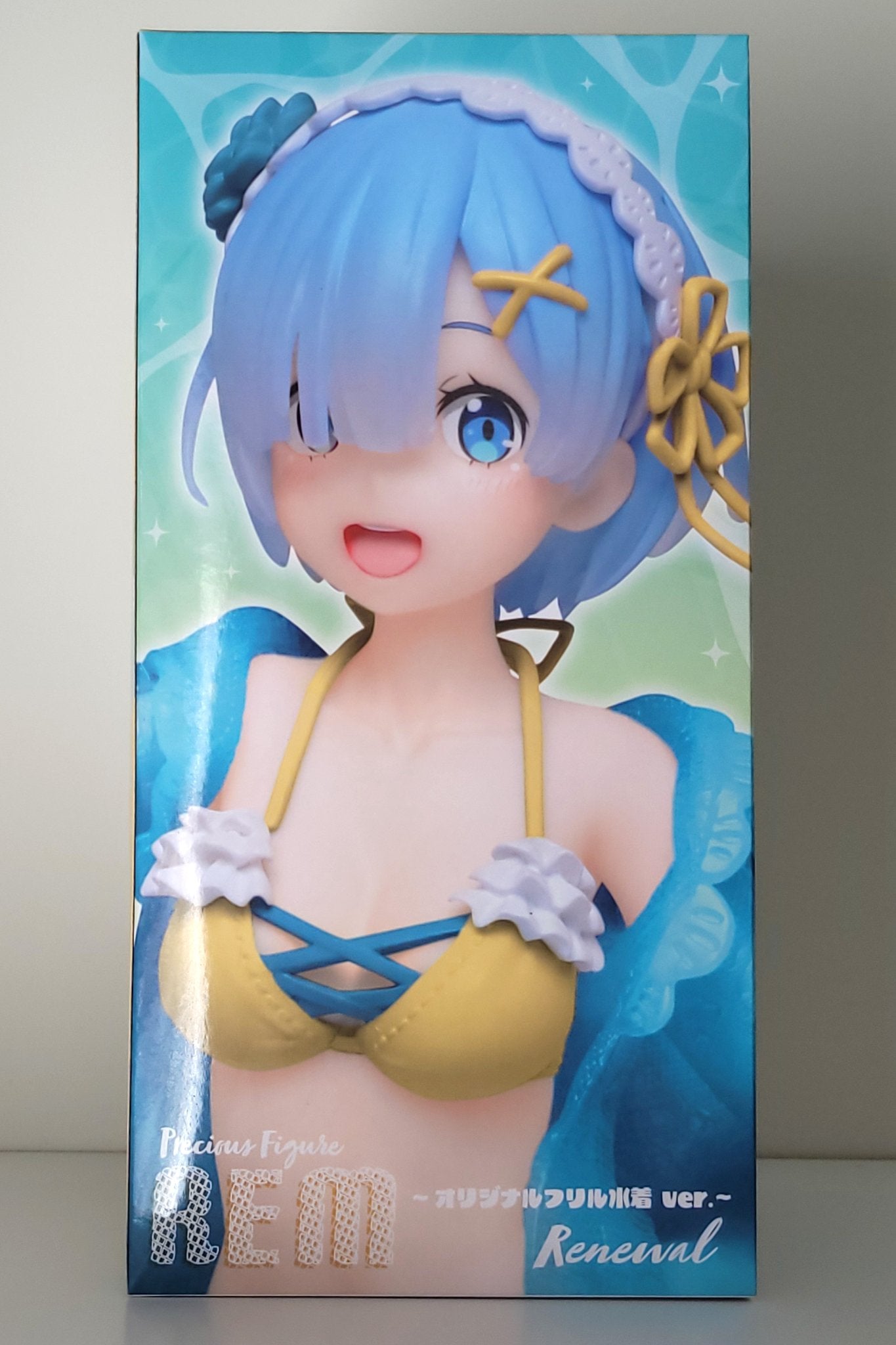 Rem Bikini 0040
