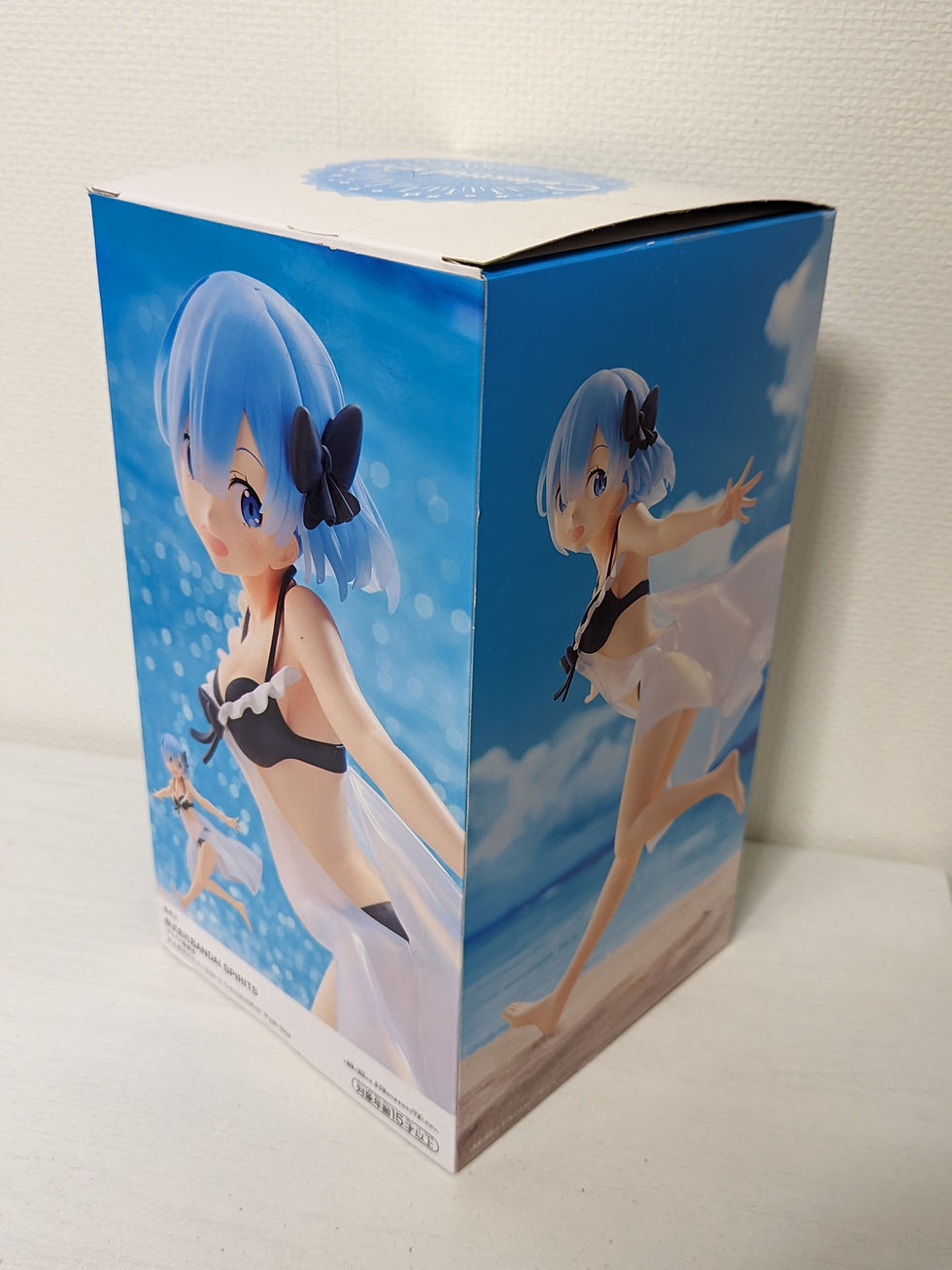Rem Bikini 0048