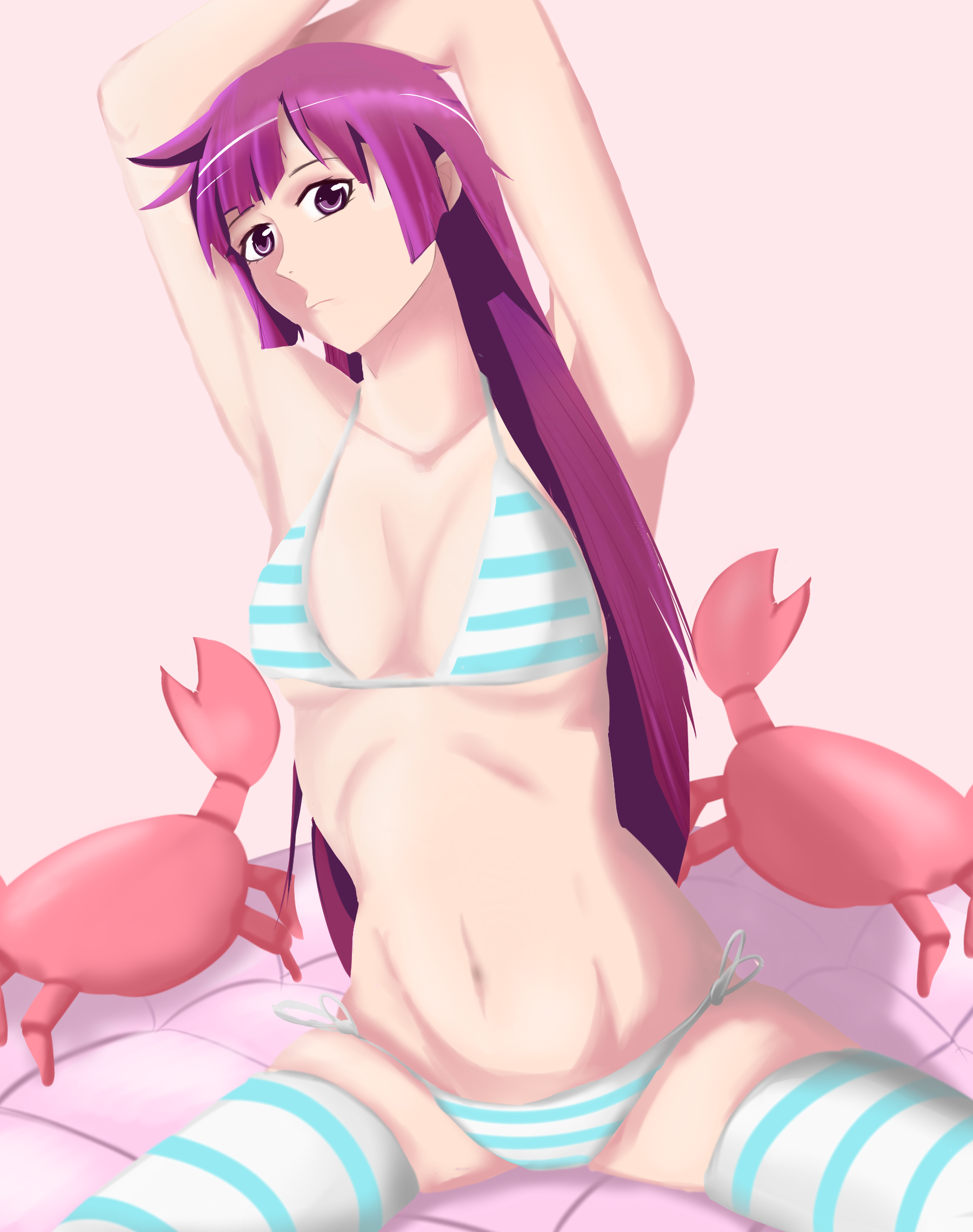 Senjougahara Bikini 0018