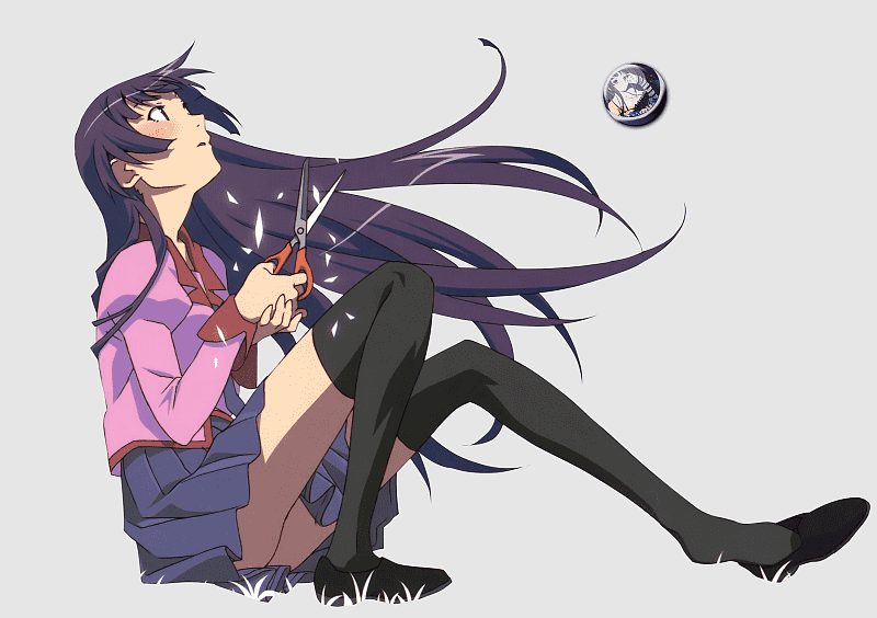 Senjougahara Bikini 0041