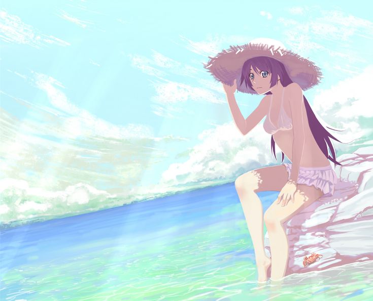 Senjougahara Bikini